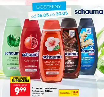 Biedronka Szampon do włosów Schauma oferta