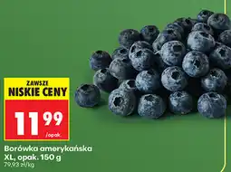 Biedronka Borówka amerykańska XL, opak oferta