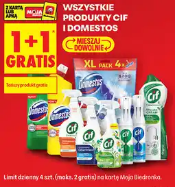 Biedronka Wszystkie produkty Cif i Domestos oferta