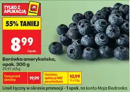 Biedronka Borówka amerykańska, opak oferta