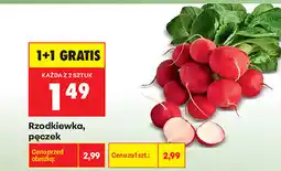 Biedronka Rzodkiewka, pęczek oferta
