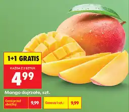 Biedronka Mango dojrzałe, szt oferta