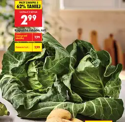 Biedronka Kapusta młoda, szt oferta