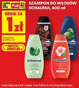 Biedronka SZAMPON DO WŁOSÓW SCHAUMA oferta