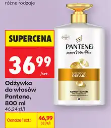 Biedronka Odżywka do włosów Pantene oferta