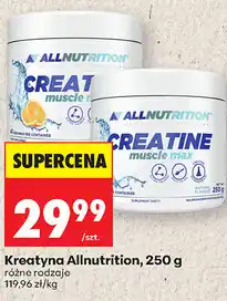 Biedronka Kreatyna Allnutrition oferta