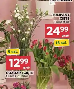 Stokrotka TULIPANY CIĘTE 1 bukiet 15 szt oferta