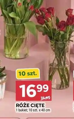 Stokrotka RÓŻE CIĘTE 1 bukiet 10 szt. x 40 cm oferta