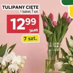 Stokrotka TULIPANY CIĘTE 1 bukiet 7 szt oferta