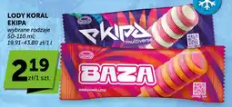 Groszek Lody koral ekipa oferta