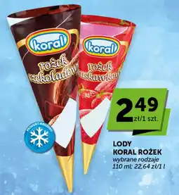 Groszek Koral rożek oferta