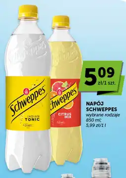 Groszek Napój schweppes oferta