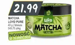 Słoneczko Matcha loyd pure mokate oferta