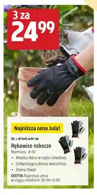 Jula Rękawice robocze BLUEWEAR oferta