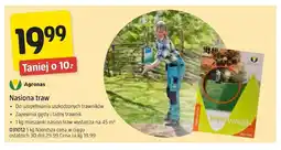 Jula Nasiona traw Agronas oferta