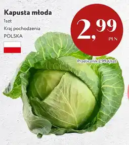 Market Point Kapusta młoda polska oferta