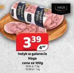 Delfin Haga Indyk w galarecie oferta