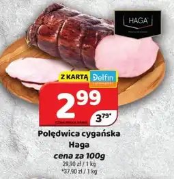 Delfin Haga Polędwica cygańska oferta