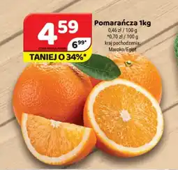 Delfin Pomarańcza oferta
