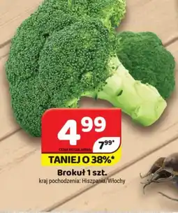 Delfin Brokuł oferta