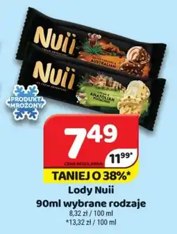 Delfin Nuii Lody oferta