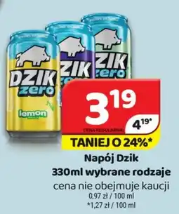Delfin Dzik Napój oferta