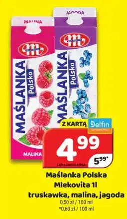Delfin Mlekovita Maślanka Polska oferta