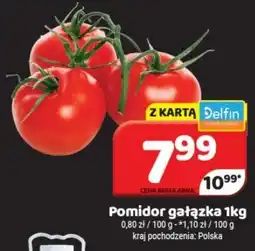Delfin Pomidor gałązka oferta