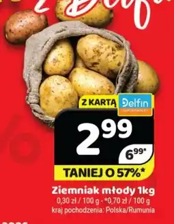 Delfin Ziemniak młody oferta