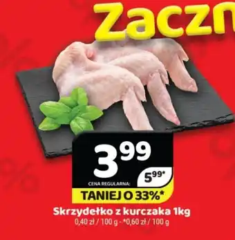 Delfin Skrzydełko z kurczaka oferta