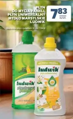 Stokrotka Market Ludwik Cleaning Products oferta