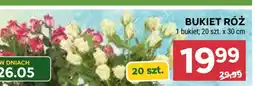 Stokrotka Market Bukiet róż oferta