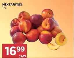 Stokrotka Market Nektarynki oferta