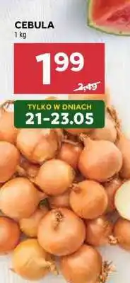 Stokrotka Market Cebula oferta