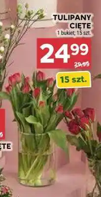 Stokrotka Market Tulipany cięte oferta