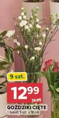 Stokrotka Market Goździki cięte oferta