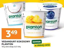 Stokrotka Market Vegangurt kokosowy PLANTON oferta