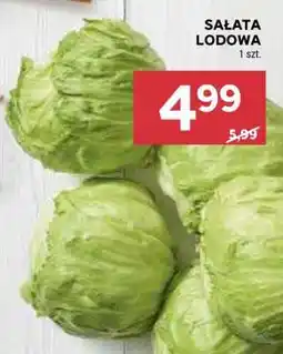 Stokrotka Market Sałata lodowa oferta