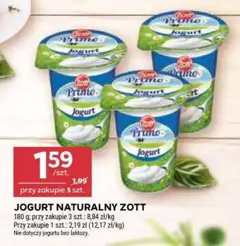 Stokrotka Market Jogurt naturalny ZOTT oferta