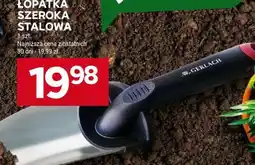 Stokrotka Market Łopatka szeroka stalowa oferta