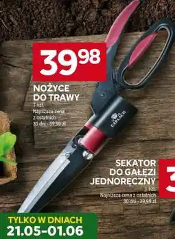 Stokrotka Market NOŻYCE DO TRAWY oferta