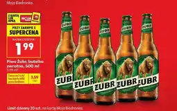 Biedronka Piwo Żubr, butelka zwrotna, 500 ml oferta