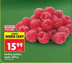Biedronka Malina polska, opak. 200 g oferta