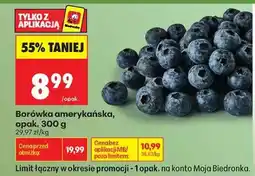Biedronka Borówka amerykańska opak 300 g oferta