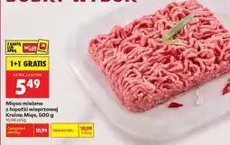 Biedronka Mięso mielone z łopatki wieprzowej Kraina Mięs 500 g oferta