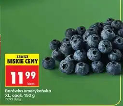 Biedronka Borówka amerykańska XL, opak. 150 g oferta