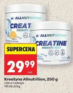 Biedronka Kreatyna Allnutrition, 250 g oferta