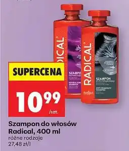 Biedronka Szampon do włosów Radical, 400 ml oferta