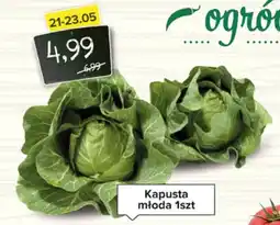 Spiżarnia Smakosza Kapusta młoda oferta