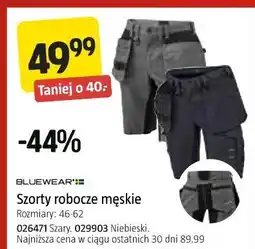 Jula Szorty robocze męskie BLUEWEAR oferta